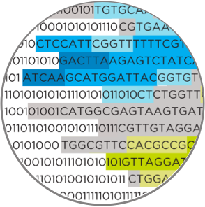 DNA sequences